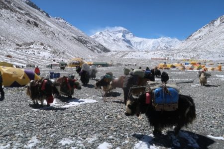 エベレスト登山隊2019チベット登山開始！