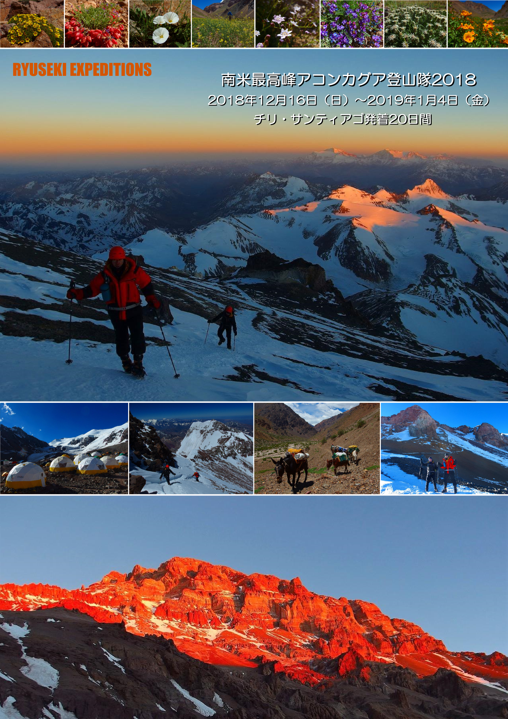 南米最高峰アコンカグア登山隊2018 6962m