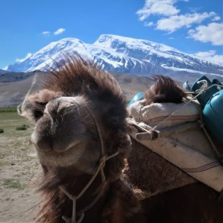 中国新疆ウイグル 崑崙山脈 ムスターグアタ7546m