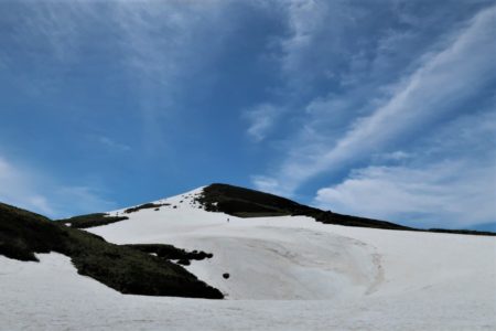 新緑のブナ鳥海山2236m滑り収め