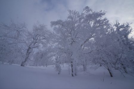 北海道低山スキーの旅2022その７
