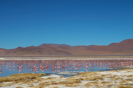 南米ボリビア ウユニ塩湖とワイナ・ポトシ6088m登山隊2023報告その2
